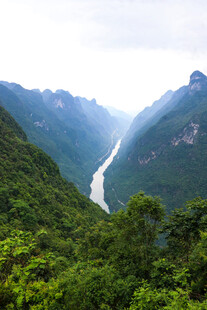 山间河谷绿意盎然美景