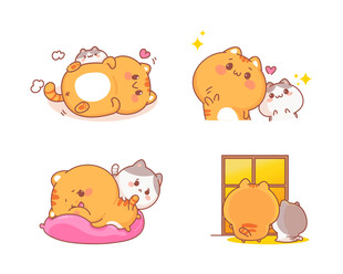 可爱猫咪的惬意日常