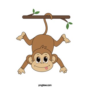 倒挂树枝的可爱小猴子