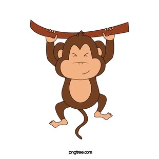 挂在树枝上的可爱小猴