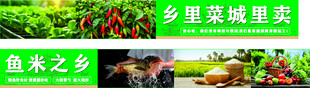 乡里赏景  鱼米之乡风采 健康