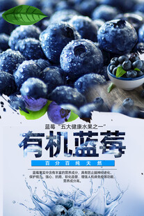 蓝莓水果