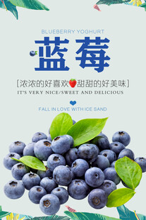 蓝莓水果