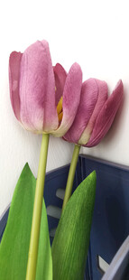 粉色仿真郁金香特写
