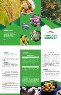 保险三折页