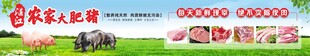湛江农家大肥猪宣传海报