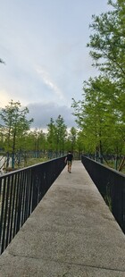 户外木质步道延伸向远方