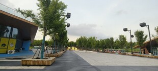街道旁的多彩建筑与绿树