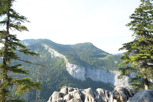 山间奇景 绿树岩石相伴