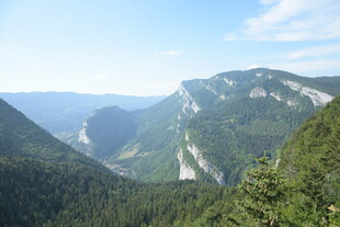 壮丽山景 葱郁山林