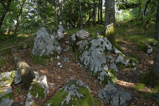 林间岩石景观