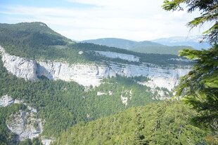 山峦葱郁的壮美自然景观