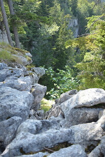山间嶙峋岩石与葱郁植被