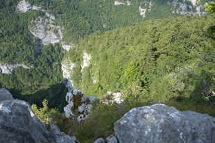 俯瞰山间绿意盎然美景