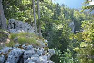 山林间的嶙峋岩石景观