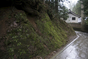 山间湿滑小路旁的小屋
