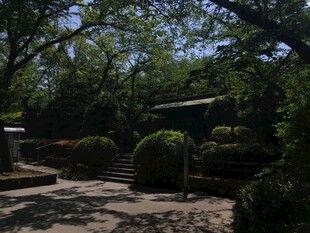 静谧园林景观