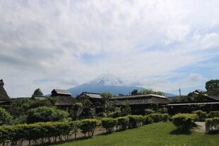 富士山下的田园风光