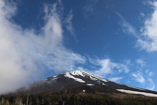 巍峨雪山映蓝天