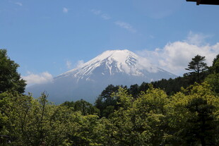 富士山景 绿树环绕的雪峰
