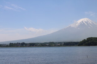 富士山下的宁静湖景