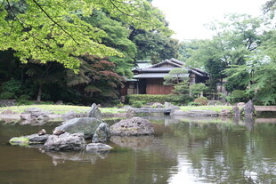 日式园林池塘景致
