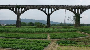 田野上的高架桥