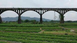 田野上的拱形桥梁景观
