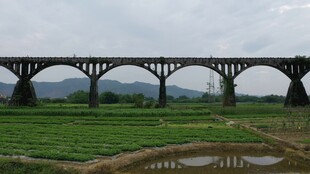 田野上的古老铁路桥