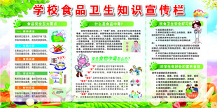 食品卫生知识宣传