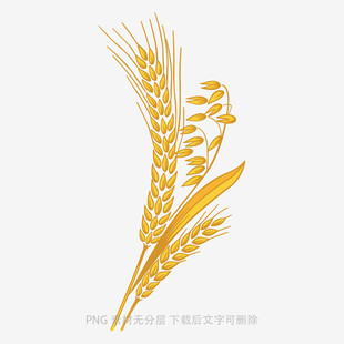 金黄麦穗图案