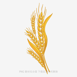 金色麦穗图案