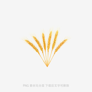 金色麦穗图案