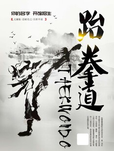 跆拳道武术风采展示