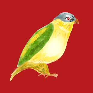 彩色小鸟水彩画