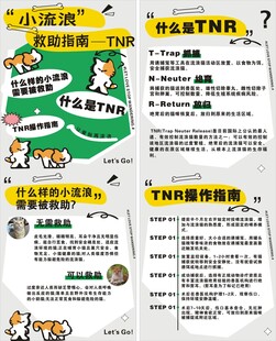 小流浪
