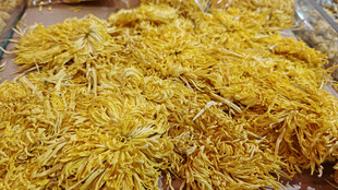 金黄蓬松的干菊花