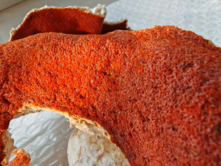 橙红色陈皮特写