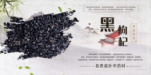 中国风中药材展板