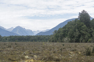 山间开阔草地与远处山峦