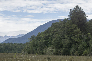 山林间的自然风光美景