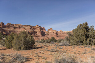 荒漠中的红崖与绿植景观