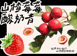 杯贴