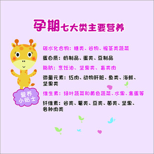 孕期七大类主要营养