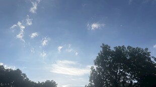 蓝天绿树间的美好景致