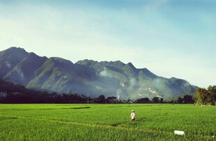 绿野青山间的田园风光