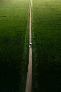 田野中的公路与行驶车辆