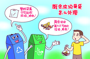 垃圾分类场景与知识讲解
