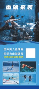 游泳展架  美人鱼
