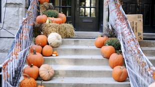 秋日台阶上的多彩南瓜装饰